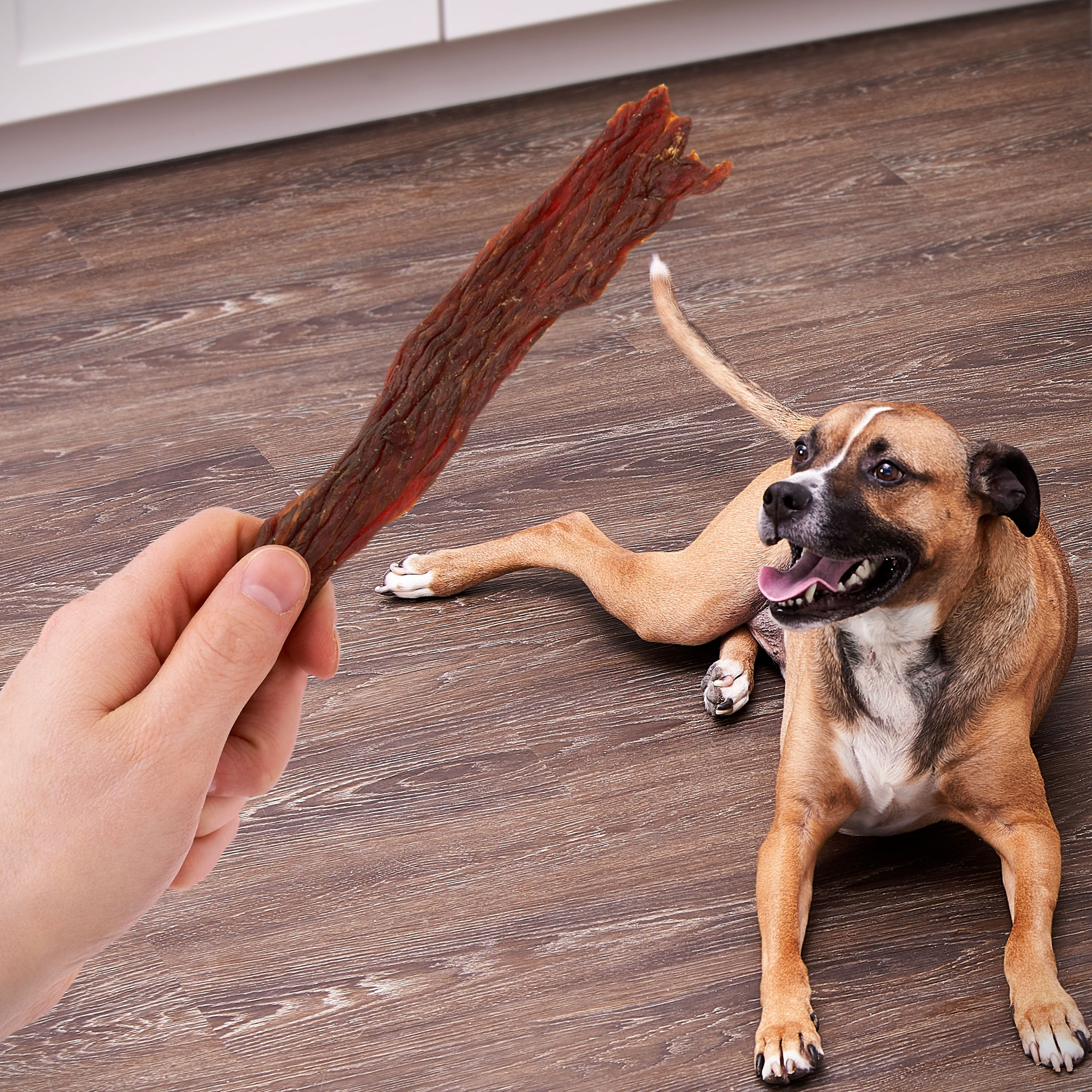 Golden Rewards Chicken, Duck, and Beef Jerky Treats