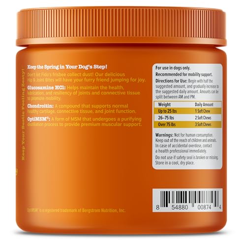 Bike Chain Keeper and Tool Holder for Pets