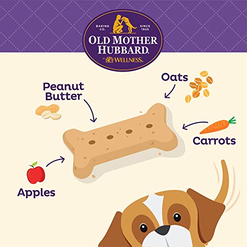 Old Mother Hubbard P-Nuttier Dog Treats Value Box