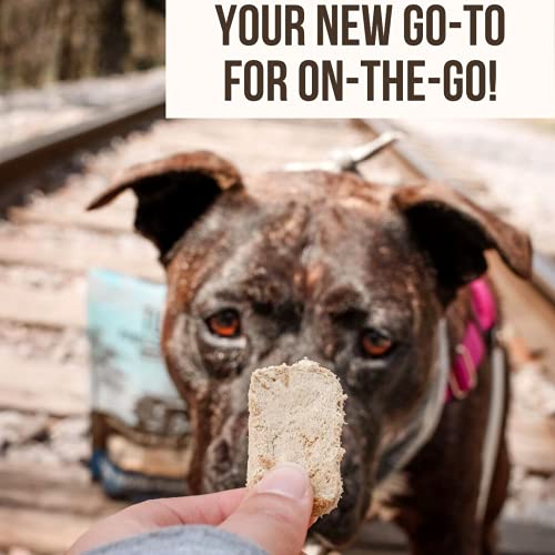 Hogdseirrs Pet Supplies for Your Furry Friends