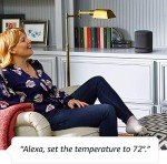 Echo Home Entertainment Bundle: Studio & 2 Echos