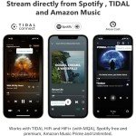 WiiM Pro Plus AirPlay 2 WiFi Streamer