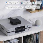 WiiM Pro Plus AirPlay 2 WiFi Streamer