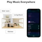 WiiM Pro Plus AirPlay 2 WiFi Streamer