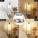 Set of 2 Silver Touch Control Table Lamps