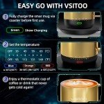 Smart Heated Coffee Mug with App Control - 14 oz