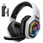 Ozeino OW810 Gaming Headset with Noise Cancellation