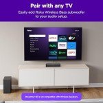 Roku Streambar SE for Home Business Streaming