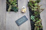 BB-8 by Sphero - Interactive Droid Toy