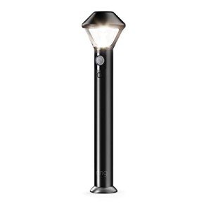 Ring Outdoor Motion-Sensor Pathlight – Battery-Powered