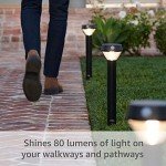 Solar Motion-Sensor Pathlight for Home Security