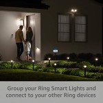 Solar Motion-Sensor Pathlight for Home Security