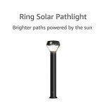Solar Motion-Sensor Pathlight for Home Security