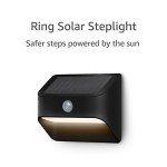 Solar Motion-Sensor Steplight for Outdoor Security