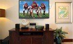 RCA 24” HD LED TV/DVD Combo