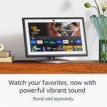 Fire HD Smart Display 15.6" with Alexa