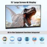 75 Inch 4K UHD Touch Screen Smart Board