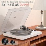 Wireless Turntable with USB Recording and Bluetooth