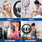 NEEWER 19" Ring Light with Stand and Phone Holders
