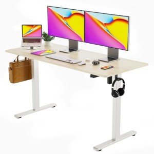 48" Height Adjustable Electric Standing Desk