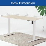 48" Height Adjustable Electric Standing Desk