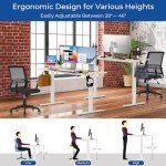 48" Height Adjustable Electric Standing Desk