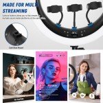 NEEWER 19" Ring Light with Stand and Phone Holders