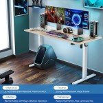 48" Height Adjustable Electric Standing Desk