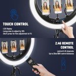 NEEWER 19" Ring Light with Stand and Phone Holders
