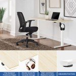 48" Height Adjustable Electric Standing Desk
