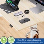 48" Height Adjustable Electric Standing Desk