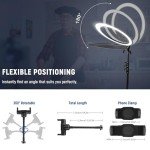 NEEWER 19" Ring Light with Stand and Phone Holders