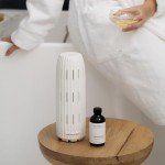 AromaTech Luxury Hotel Aroma Essential Oil Blend