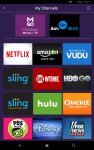 Roku Streaming Device for Home Business Setup