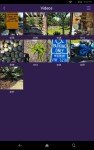 Roku Streaming Device for Home Business Setup
