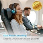 Vibeadio Pro Hybrid Active Noise Cancelling Headphones