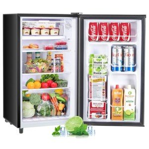 Zibbizo 3.2 Cu.Ft Mini Fridge with Freezer