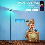 Smart 30W Floor Lamp with Alexa, RGB & White