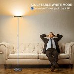 Smart 30W Floor Lamp with Alexa, RGB & White
