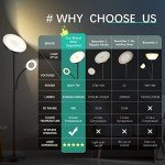 Dimmable 42W Remote-Controlled LED Floor Lamp