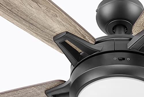 Smart 52" Ceiling Fan with Light & Remote