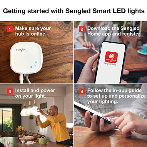 Sengled Z02 Smart Hub, Alexa & Google Compatible