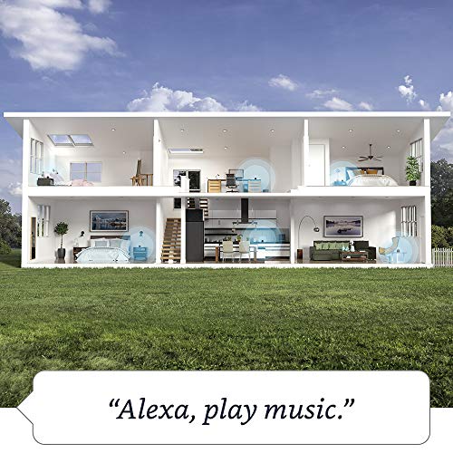 Charcoal Echo Dot (4th Gen) with Alexa