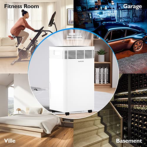 Commercial Dehumidifier with Smart Humidity Control