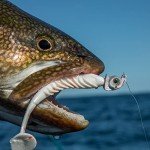 Northland Elite Mimic Swim Jig Head 1/2 Oz