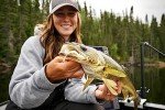Purple Shad Eye Candy Minnow Lure for Walleye