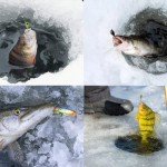 52-Piece Glowing Ice Fishing Jigs Kit for Walleye