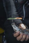 Rapala Jigging Shadow Rap 09 - Live Perch