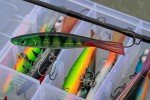 Rapala Jigging Shadow Rap 09 - Live Perch