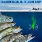 Dovesun Ice Fishing Jigs and Spoons Kit